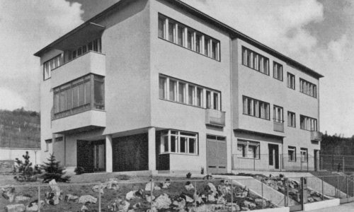 C196 Einfamilienhaus und zwei Mietshäuser